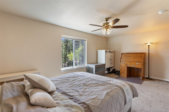 71 Mt Elbert Dr, Florissant, CO 80816 - photo 42