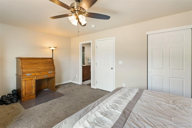 71 Mt Elbert Dr, Florissant, CO 80816 - photo 43