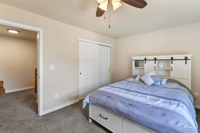 71 Mt Elbert Dr, Florissant, CO 80816 - photo 44