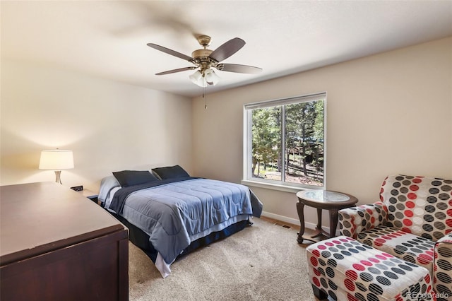 71 Mt Elbert Dr, Florissant, CO 80816 - photo 45