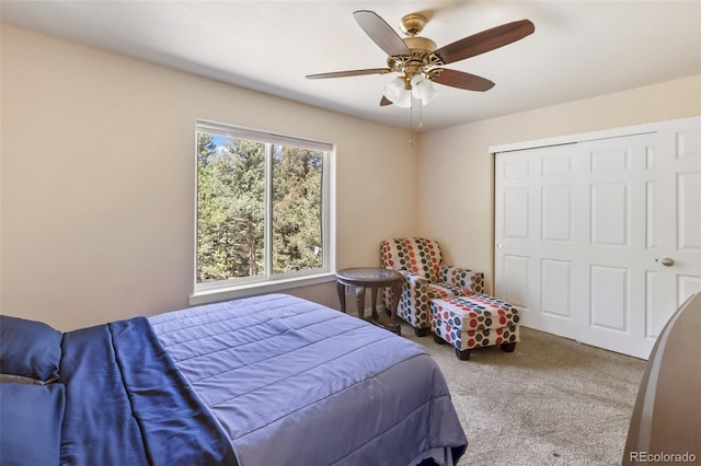 71 Mt Elbert Dr, Florissant, CO 80816 - photo 46