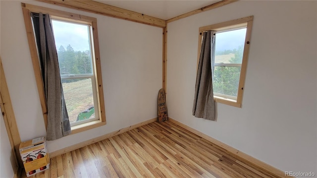 empty room with light hardwood / wood-style flooring