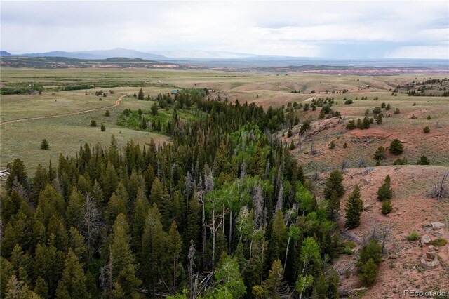 aerial view with a mountain view