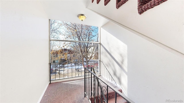 stairway featuring expansive windows and carpet flooring