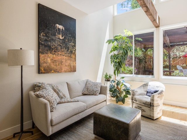 living room with wood-type flooring