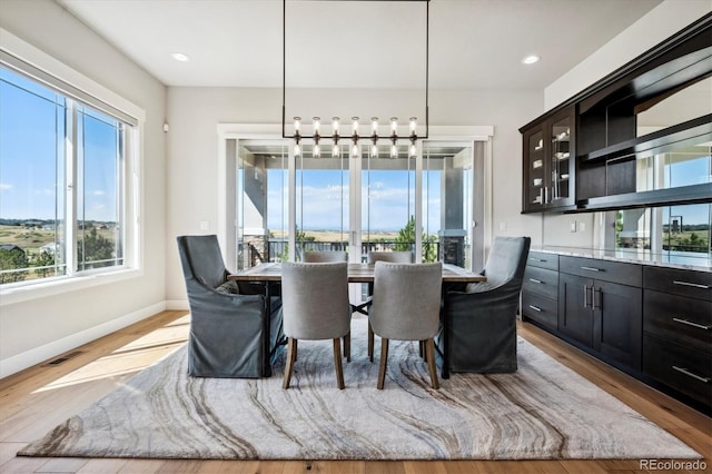 dining room featuring light hardwood / wood-style floors