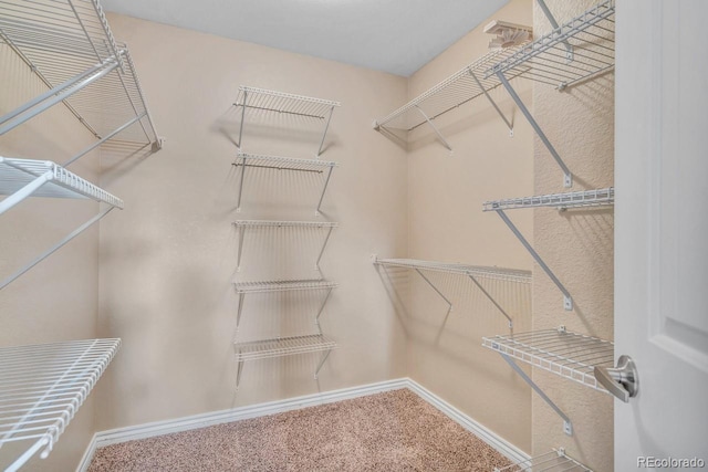 861 Circle Rd, Palmer Lake, CO 80133 - spacious closet featuring carpet floors