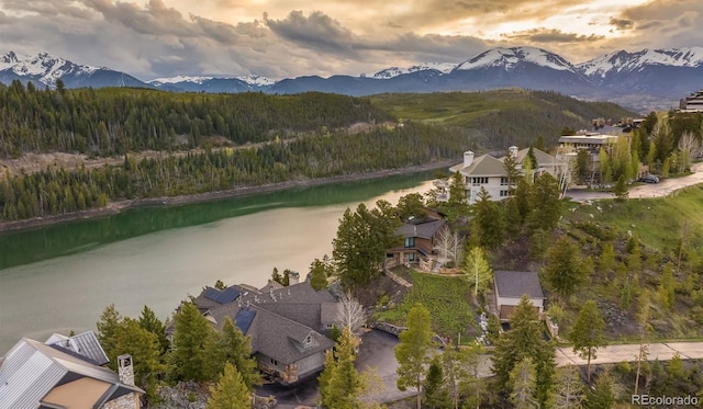 309 Eastridge Dr, Dillon, CO 80435 - bird's eye view of a forest and a water and mountain view