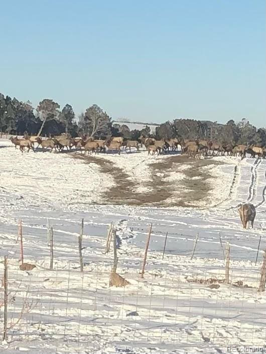 yard covered in snow with a rural view