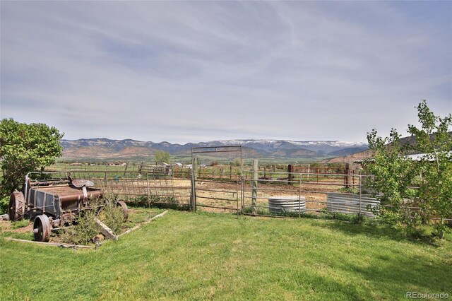 view of yard with a mountain view and a rural view