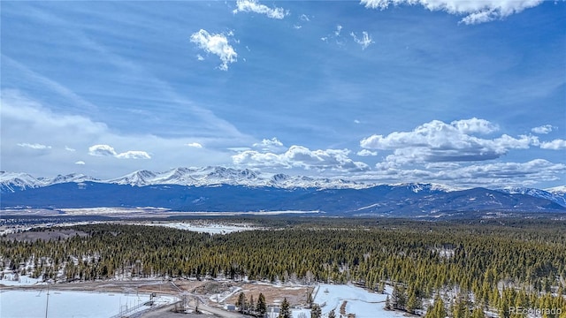 910 W 6th St, Leadville, CO 80461 - photo 1