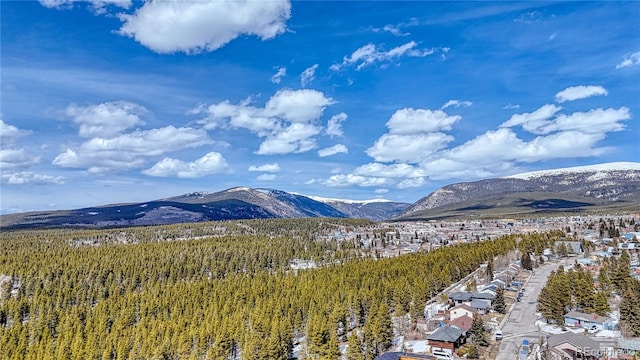 910 W 6th St, Leadville, CO 80461 - photo 4