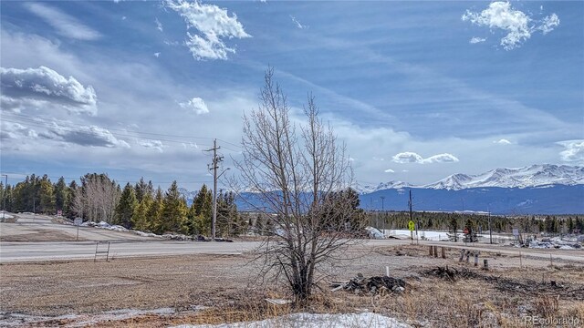 910 W 6th St, Leadville, CO 80461 - photo 5