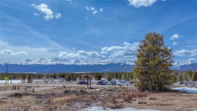 910 W 6th St, Leadville, CO 80461 - photo 6