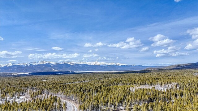 910 W 6th St, Leadville, CO 80461 - photo 9