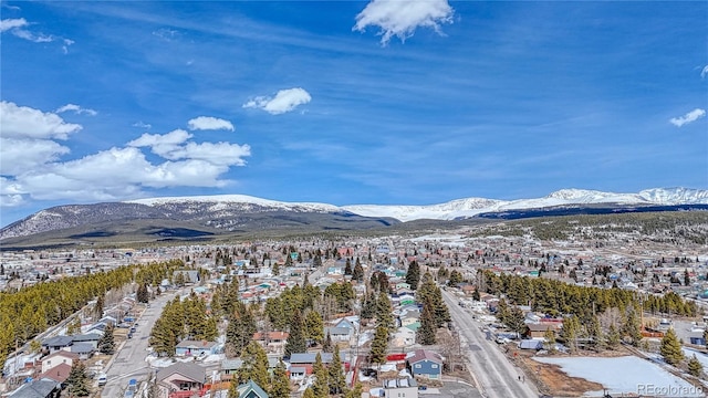 910 W 6th St, Leadville, CO 80461 - photo 10