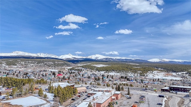 910 W 6th St, Leadville, CO 80461 - photo 11