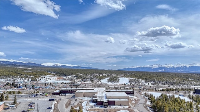 910 W 6th St, Leadville, CO 80461 - photo 12