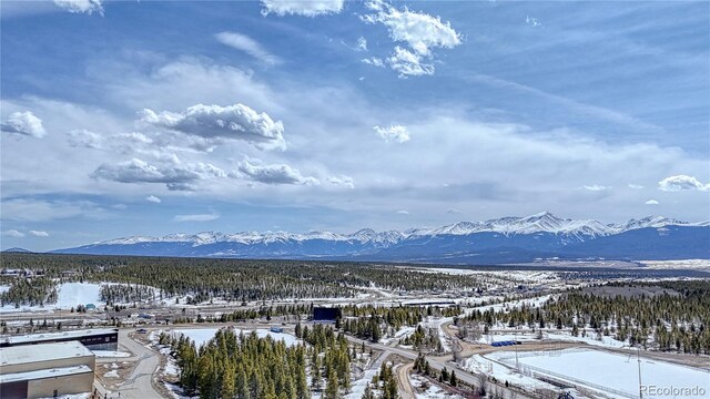 910 W 6th St, Leadville, CO 80461 - photo 13