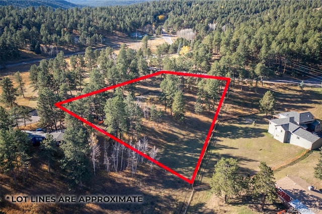 29999 Gigi Dr, Evergreen CO, 80439 land for sale