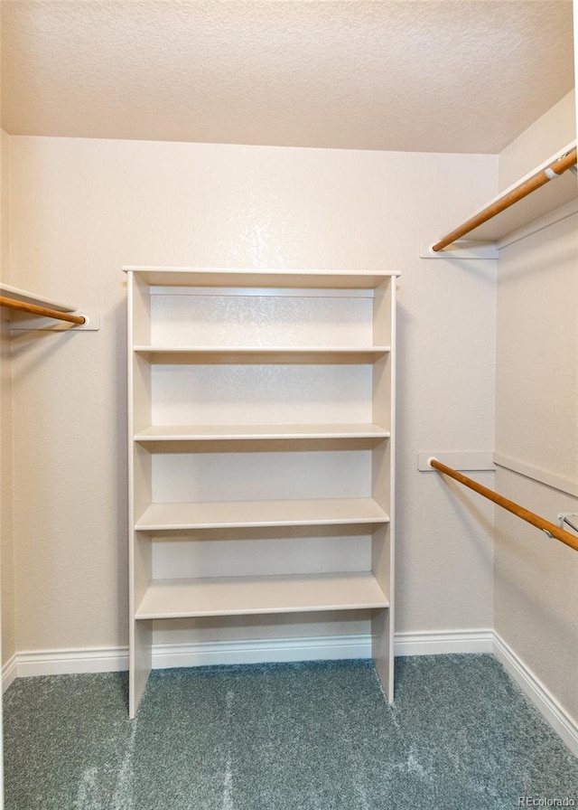 walk in closet with carpet flooring