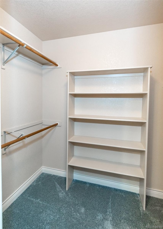 walk in closet with carpet floors