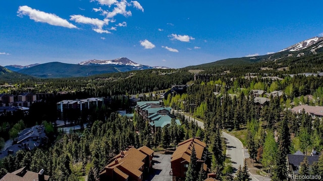 200 Primrose Path Unit 11, Breckenridge, CO 80424 - aerial view of mountains and a forest