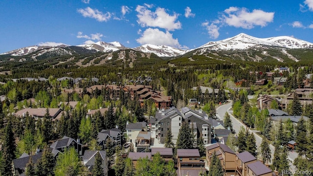 200 Primrose Path Unit 11, Breckenridge, CO 80424 - mountain view