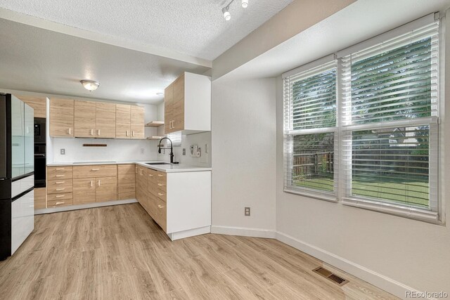 176 S Pembrook St, Castle Rock, CO 80104 - photo 20