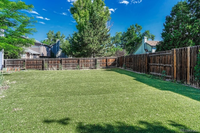 176 S Pembrook St, Castle Rock, CO 80104 - photo 39