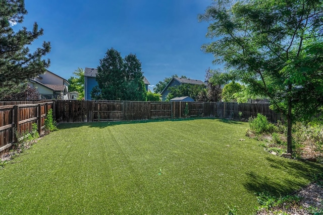 176 S Pembrook St, Castle Rock, CO 80104 - photo 38
