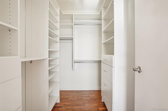 walk in closet featuring dark hardwood / wood-style flooring