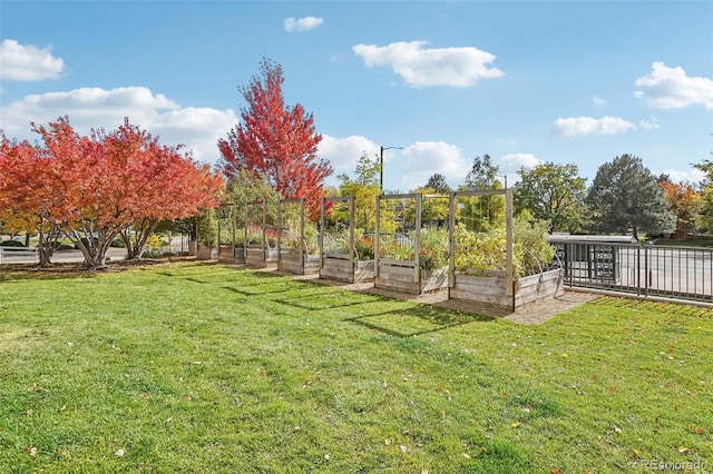 3601 Arapahoe Ave Unit 226, Boulder, CO 80303 - view of yard with a garden