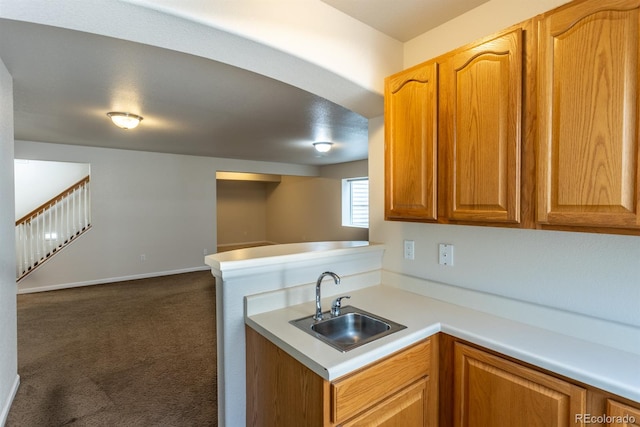 kitchen featuring sink and carpet floors