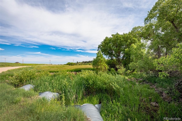 11325 Cave Spring Rd, Franktown, CO 80116 - photo 7