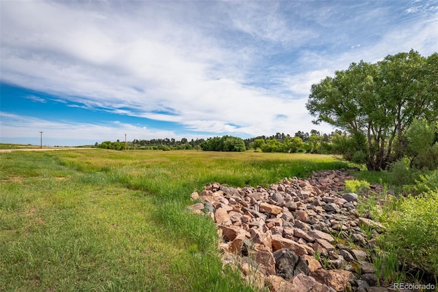 11325 Cave Spring Rd, Franktown, CO 80116 - photo 10
