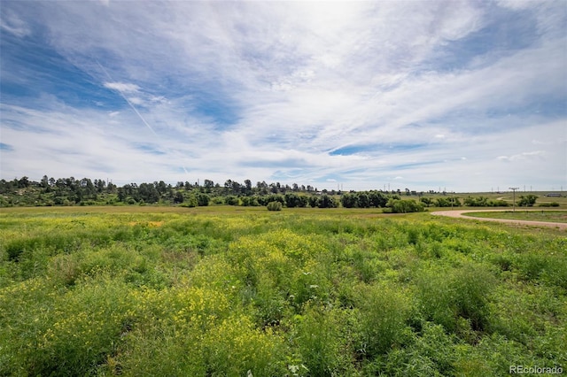 11325 Cave Spring Rd, Franktown, CO 80116 - photo 11