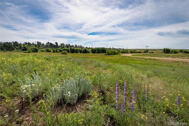 11325 Cave Spring Rd, Franktown, CO 80116 - photo 12