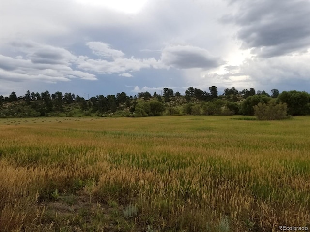 11325 Cave Spring Rd, Franktown, CO 80116 - photo 4
