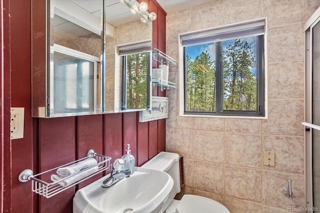 bathroom with a sink and toilet