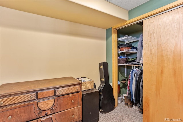 walk in closet with carpet