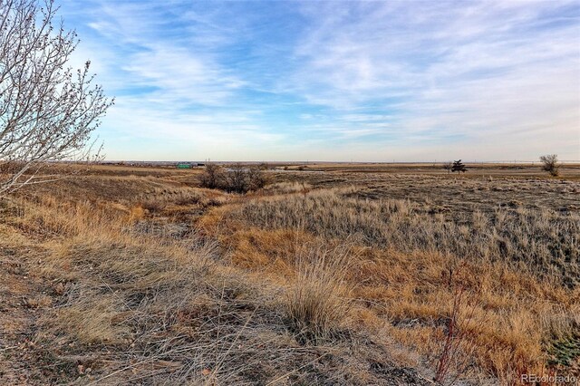 view of local wilderness with a rural view