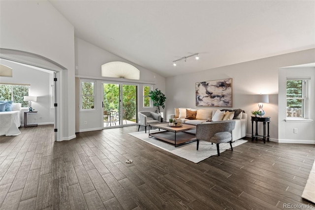 5980 Dunraven Ct, Golden, CO 80403 - living area featuring dark wood-style flooring, plenty of natural light, rail lighting, and high vaulted ceiling