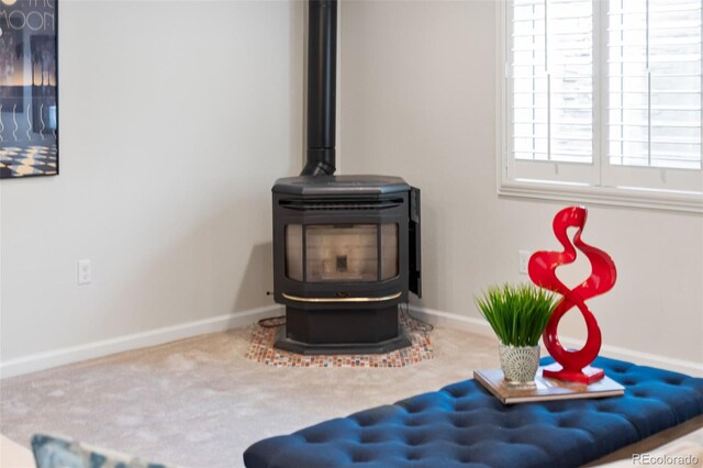 5980 Dunraven Ct, Golden, CO 80403 - detailed view of a wood stove and carpet