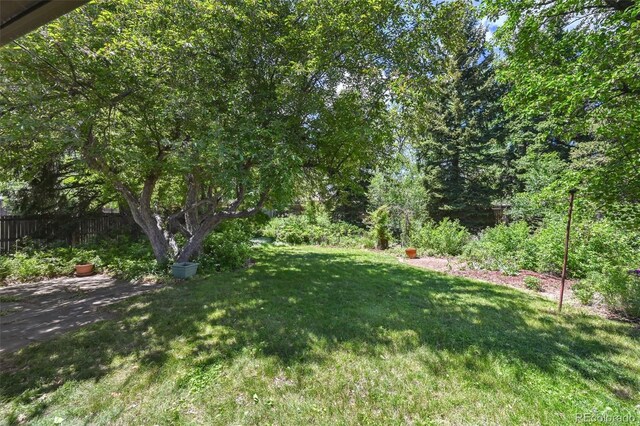 1073 Xenon St, Golden, CO 80401 - view of yard