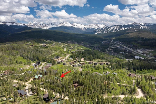 452 Gcr 835, Fraser, CO 80442 - view of mountain backdrop with a forest