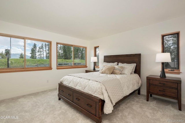 452 Gcr 835, Fraser, CO 80442 - bedroom featuring light carpet and baseboards