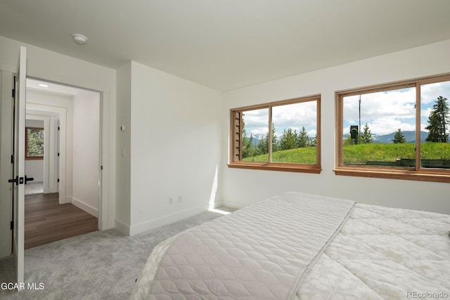 452 Gcr 835, Fraser, CO 80442 - carpeted bedroom featuring baseboards