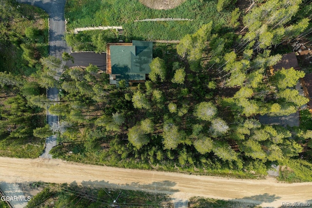 452 Gcr 835, Fraser, CO 80442 - bird's eye view