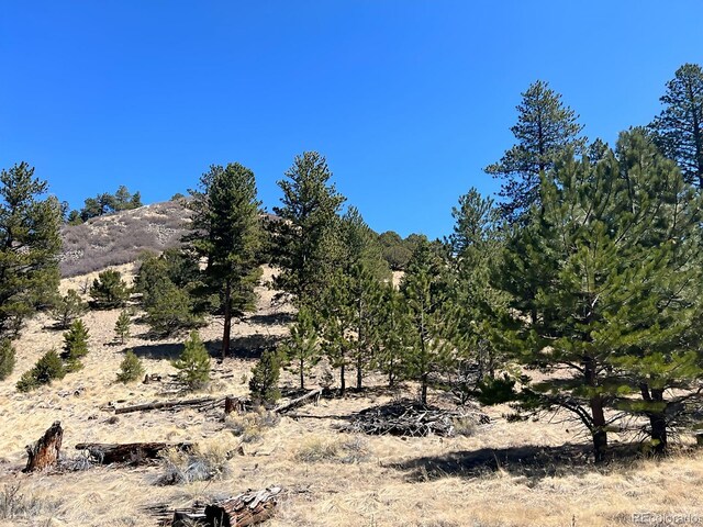 1500 Bunker Hill Rd, Westcliffe, CO 81252